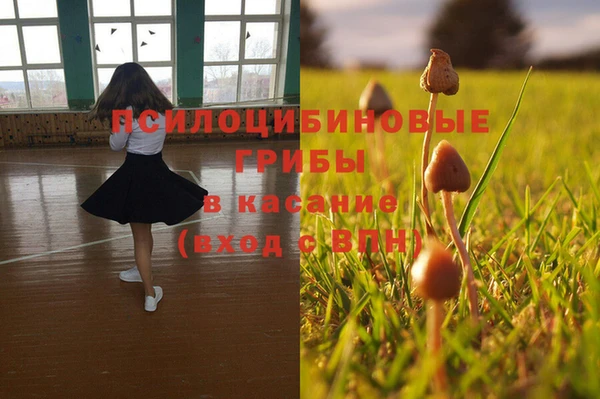 прущие крисы Абаза
