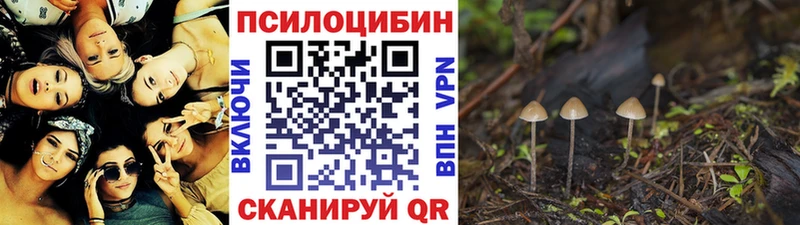 Галлюциногенные грибы мухоморы купить Алапаевск